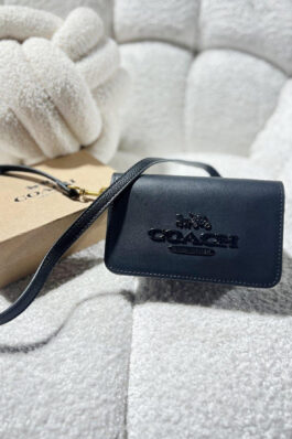 Coach Mini Cross