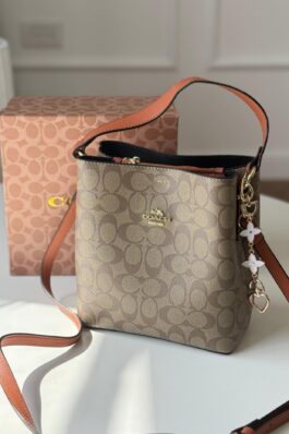 شنطة Coach mollie
