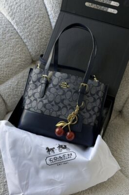 شنتة coach bag mollie شامل علبة