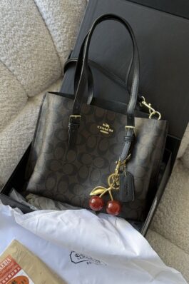 شنتة coach bag mollie شامل علبة