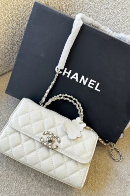 شنطة Chanel رسمي اكسسوار فضي