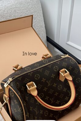 Louis vuitton bag 25cm